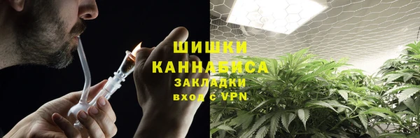 амф Новодвинск
