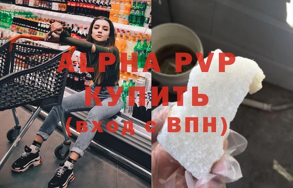 ПСИЛОЦИБИНОВЫЕ ГРИБЫ Богданович