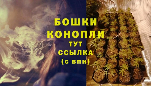спиды Бронницы