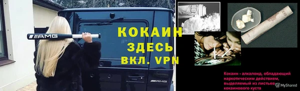 ПСИЛОЦИБИНОВЫЕ ГРИБЫ Богданович