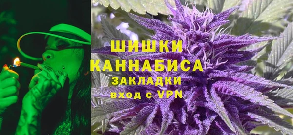 ПСИЛОЦИБИНОВЫЕ ГРИБЫ Богданович