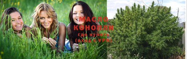 ПСИЛОЦИБИНОВЫЕ ГРИБЫ Богданович