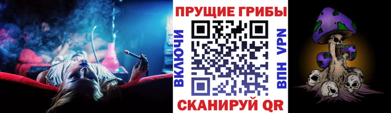 Галлюциногенные грибы ЛСД  Барыш 